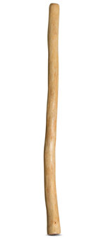 Medium Size Natural Finish Didgeridoo (TW624)